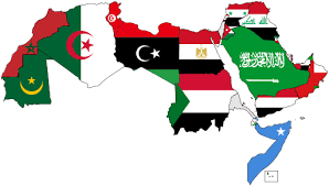 دول عربية كثيرة